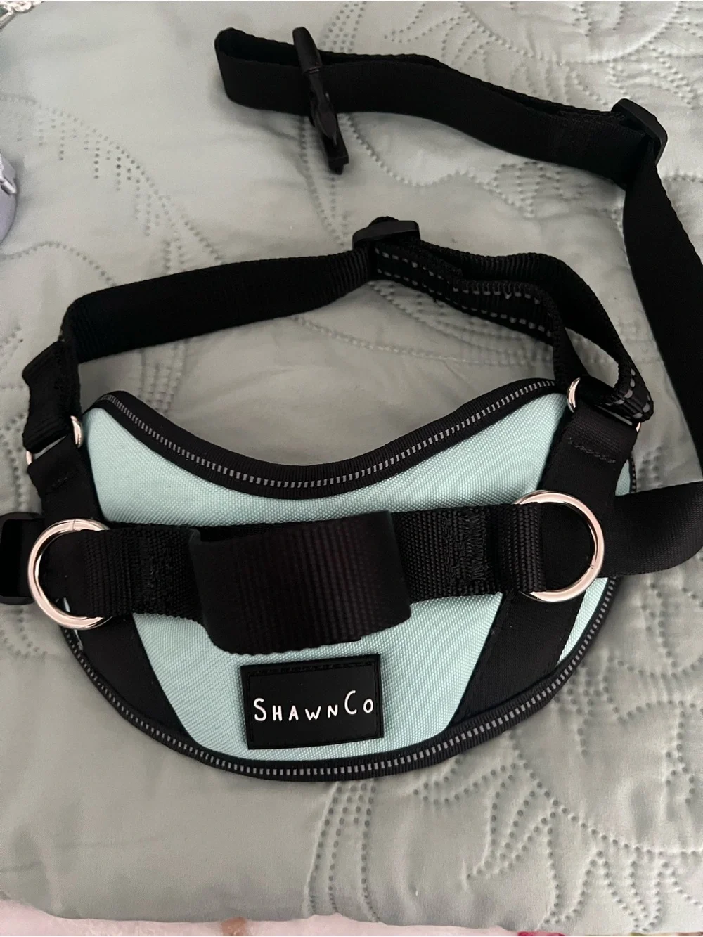 Mint Dog Harness with Black Trim - Padded Secure Fit